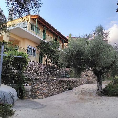 Klidonas Apartments Akrogiali Esterno foto